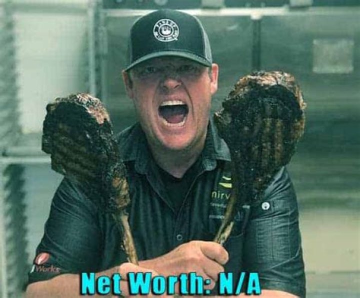 Beau MacMillan Net Worth