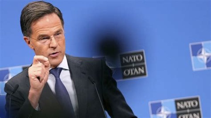 Chris Rutte Net Worth