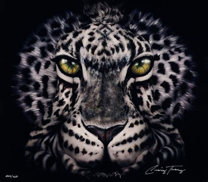 Craig Tracy