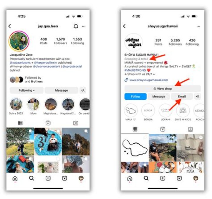 Creating Your 'A Little About Myself' Instagram Story: A Step-by-Step Guide on Adding Personal Details to Your Instagram Profile. - SarkariResult