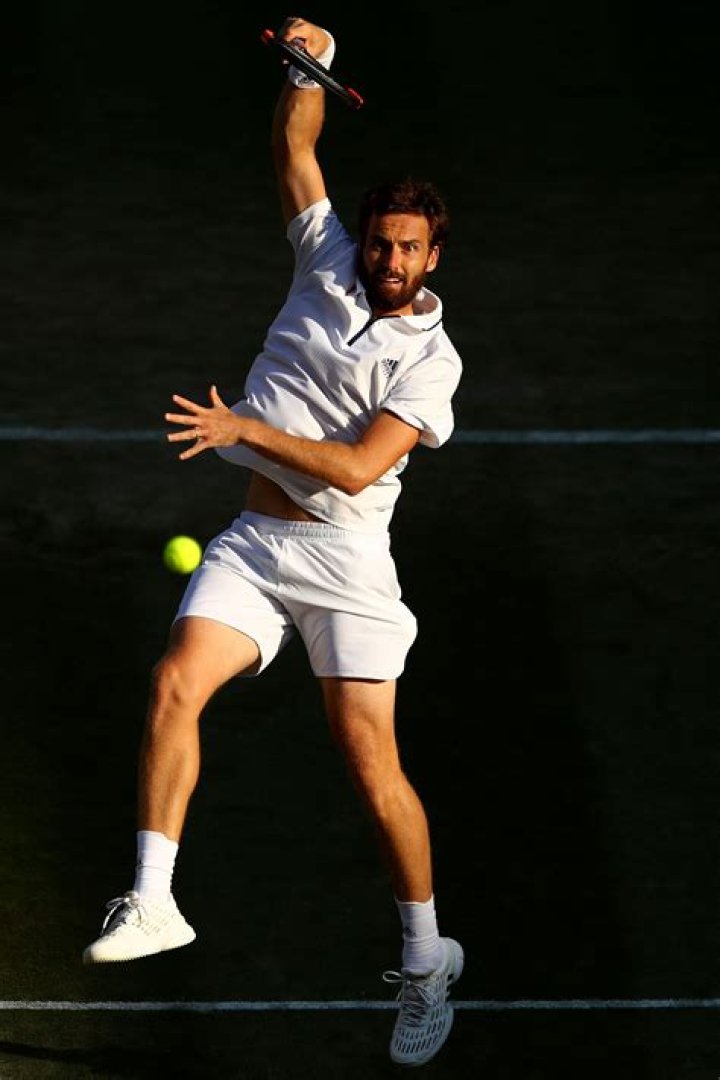 Ernests Gulbis Net Worth