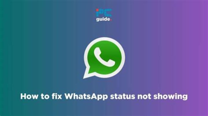 How To Fix Whatsapp Status Not Showing? - SarkariResult