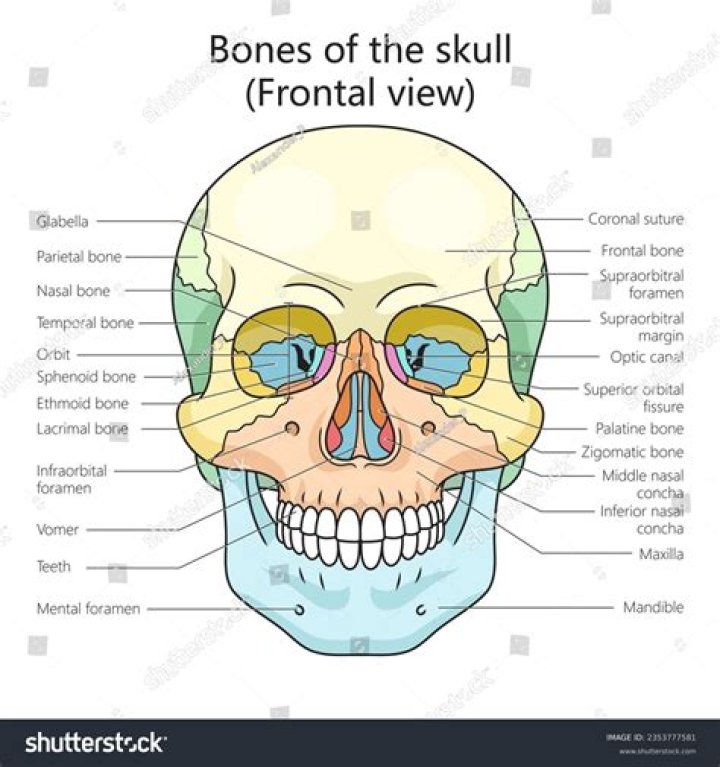 How to get & find Fine Hemp in Skull and Bones? - SarkariResult