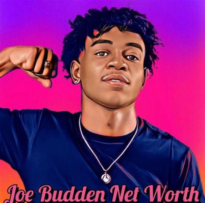 Joe Cartoon Net Worth