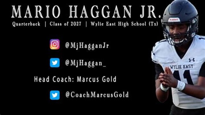 Mario Haggan Net Worth