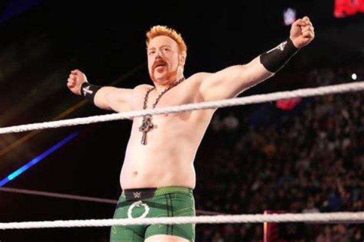 Sheamus Net Worth