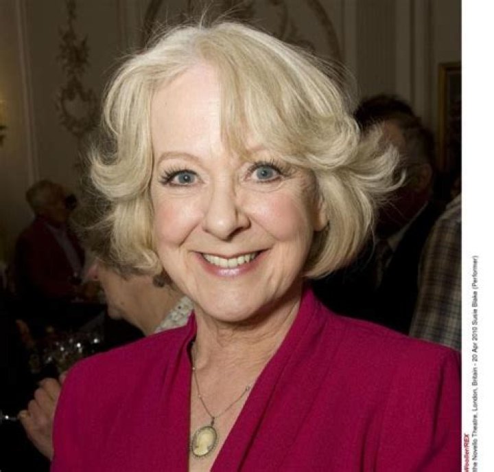 Susie Blake Net Worth