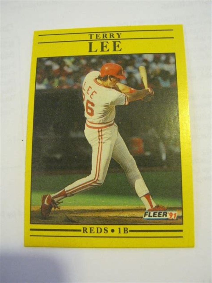 Terry Lee (baseball)