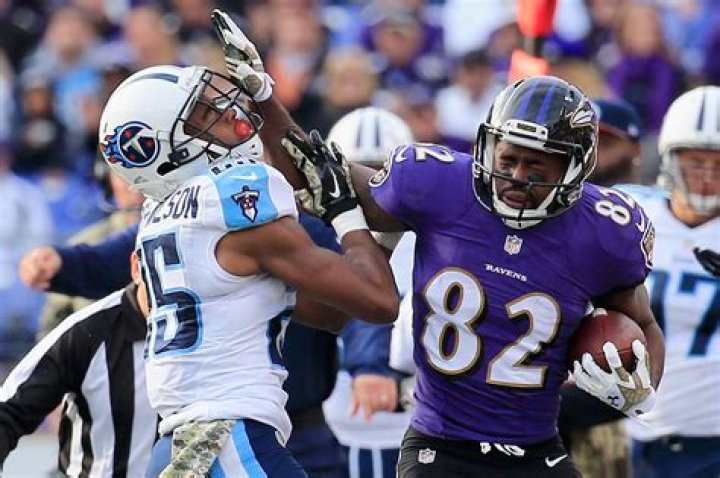 Torrey Smith Net Worth